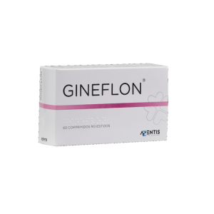 Gineflon Comprimidos X60 Gineflon Comprimidos X60